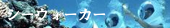 セブ島シーウォーカー