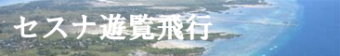 セブ島セスナ遊覧飛行