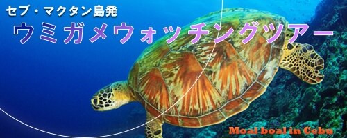 セブ島ウミガメツアー、モアルボアル海亀